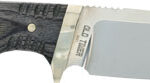 Fixed-blade knife with a dark wood handle and brass bolsters, blade extending from the handle to a pointed tip.