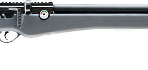 Umarex Origin .22 cal PCP Air Rifle With High Pressure Air Hand Pump