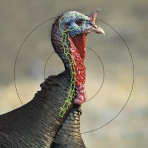 Birchwood Casey Pregame Turkey Paper Targets 12"x18" 8/ct