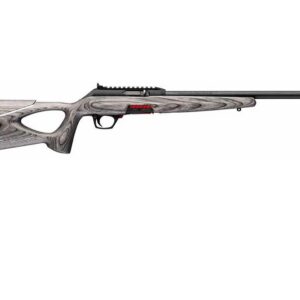 WINCHESTER WILDCAT 22LR 18"