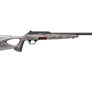 WINCHESTER WILDCAT 22LR 16.5"