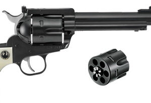 Ruger Blackhawk Flattop