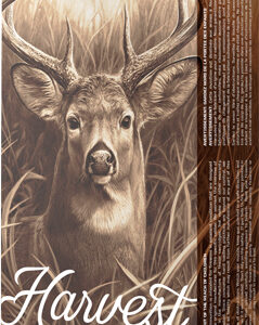 Barnes Harvest Sierra Tipped GameKing Ammunition .270 Win 140gr PT 2960 fps 20/ct