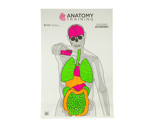 ACTION TGT ANATOMY TRNG 100PK