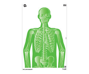 ALLEN EZ AIM 12"X18" IMPOSING 8PK