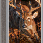 Winchester Deer Season XP ammo box featuring a buck in a forest; 450 Bushmaster, 250 grain, Made in USA.
