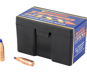 Black plastic ammo box with blue-tipped dummy rounds and two loose copper-colored cartridges nearby.
