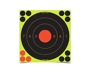 Birchwood Casey Shoot-N-C International Target