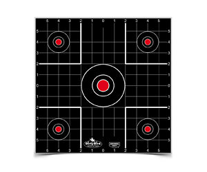 Birchwood Casey Dirty Bird Sight-In Target - 12" 12/Pack