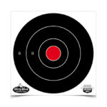 Target with black rings and a red bullseye; numbers 8 and 9 on the left ring, Dirty Bird logo bottom left.