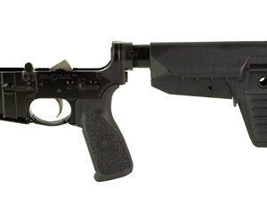 BCM CMPLT LWR RMS SPMD 1 CM BLK BLEM