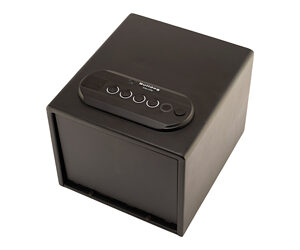 BULLDOG PSTL VAULT 11X8X5 DBL BIO