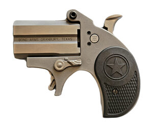 BOND STUBBY 22LR 2.2" STS NO TG BLK