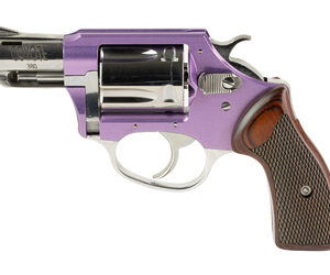 CHARTER ARMS CYTE 380ACP 2" 5RD LAV