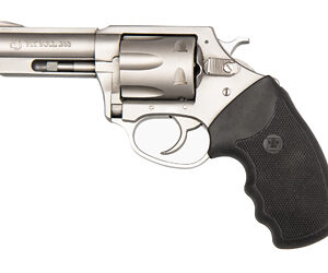Charter Arms Pit Bull Handgun .380 ACP 6rd Capacity 3" Barrel Stainless Steel