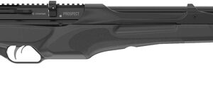 CROSMAN PROSPECT PCP .177