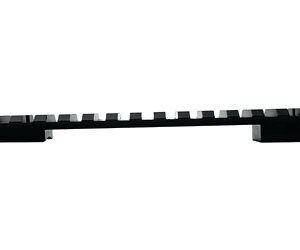 DNZ REM 700 LA PIC RAIL 20MOA W/8-40