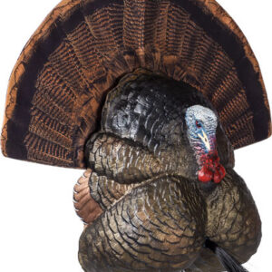 FLEXTONE THUNDER CREEPER