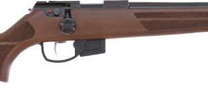 ANSCHUTZ 1710 HB 22LR 20"SS
