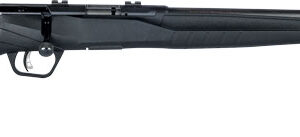 Savage Arms B17 F Rifle 17 HMR 10/rd 21" Barrel Black