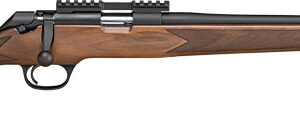 Springfield Armory Model 2020 Rimfire Classic Rifle .22 LR 10rd Magazine 20" Barrel Grade AA Walnut
