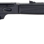 Lever-action rifle with a black stock and long metal barrel (firearm)