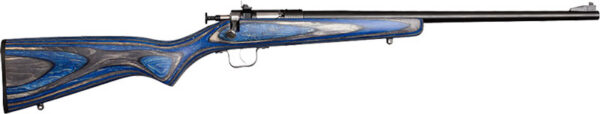Bolt-action rifle with a blue and black wood-grain stock and a long barrel.