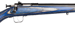 CRICKETT 22 LR RIFLE BLUE LAMINATED BLUED
