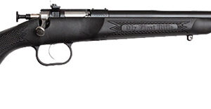 Crickett "My First Rifle" .22 LR 16" Barrel Synthetic Stock- Black