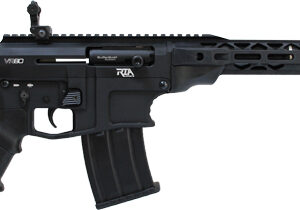 Black modern sporting rifle (AR-style) with adjustable stock, pistol grip, handguard, and magazine inserted.
