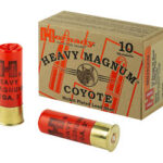 Box of Heavy Magnum Coyote shotgun shells with two red nickel-plated shells beside it.