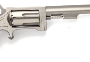 North American Arms Sidewinder