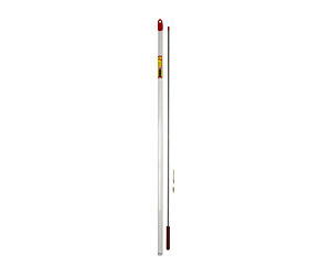 Vertical glass thermometer with red liquid, isolated on white background (informative).