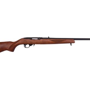 Ruger 10/22-22