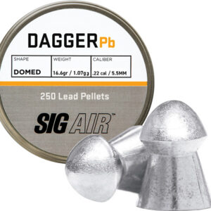 SIG PELLETS 22 DAGGER DOMED
