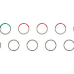 Row of ten circular progress rings arranged in two rows; the second circle has a green segment, while the others are gray with red segments.