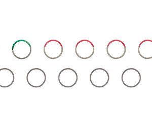 Row of ten circular progress rings arranged in two rows; the second circle has a green segment, while the others are gray with red segments.