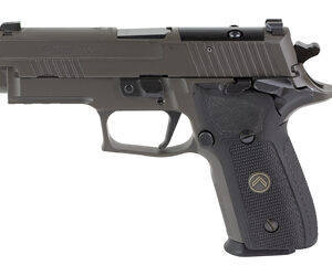 Side view of a compact semi-automatic pistol with a dark gray frame and textured grip, showing a rail under the barrel.