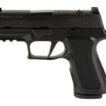 Black semi-automatic pistol shown in a right-side profile with grip and trigger guard.