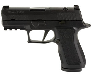 Black semi-automatic pistol shown in a right-side profile with grip and trigger guard.