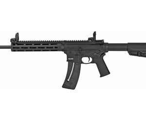 Black semi-automatic rifle with a long barrel, quad rails on the handguard, pistol grip, and adjustable folding stock.