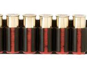 Six lipstick tubes with gold caps in a black holder, arranged in a row.