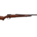 Bolt-action rifle with wooden stock and long barrel, shown in profile traveling left to right.