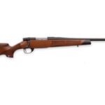 Bolt-action rifle with wooden stock and long barrel.