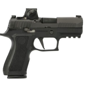 SIG SAUER OFF-DUTY P320 Pro