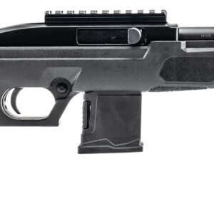 Rossi RS22P Handgun .22 LR 10rd Magazine 6" Barrel Black Frame/Barrel