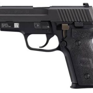 SIG SAUER OFF-DUTY P229 M11-A1