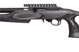 Bolt-action rifle with a dark wooden stock, long barrel, and a top Picatinny rail.