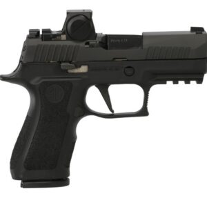 SIG SAUER OFF-DUTY P320 Pro