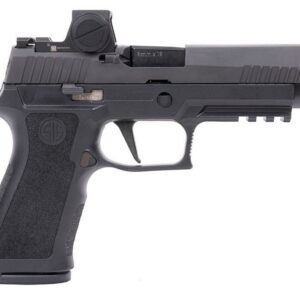 SIG SAUER OFF-DUTY P320 Full